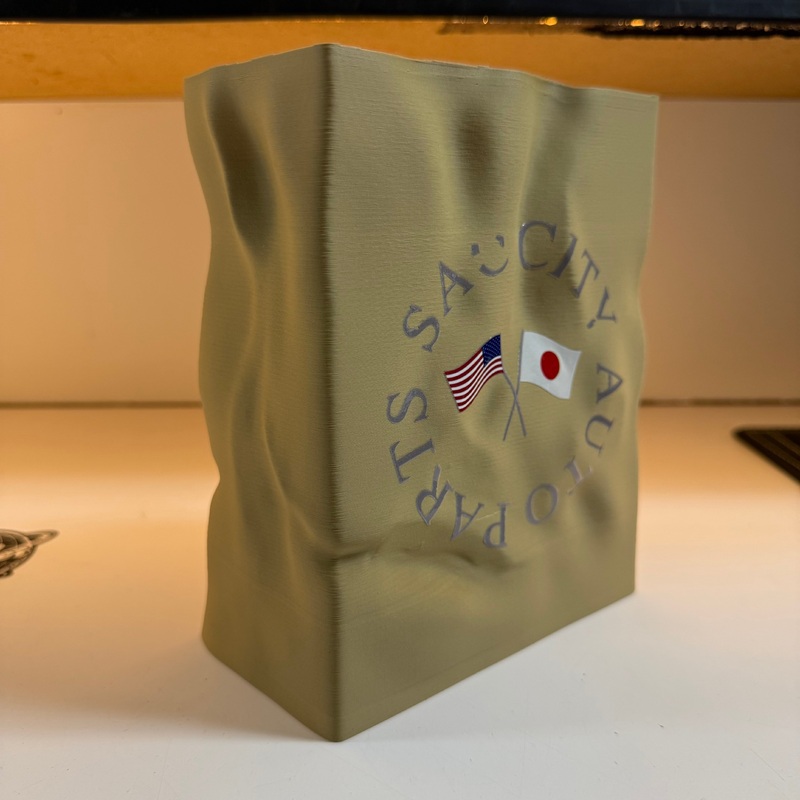 Frozen SAC CITY Paper Bag