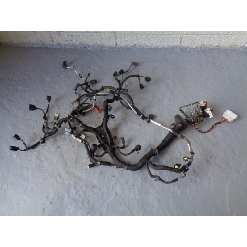 Range Rover L322 Engine Loom Complete TDV8 3.6 6H4Q-9H589-AH 2006 to 2010