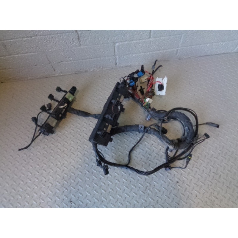 Range Rover L322 Engine Loom Complete Harness 4.4 V8 M62 2002 to 2006