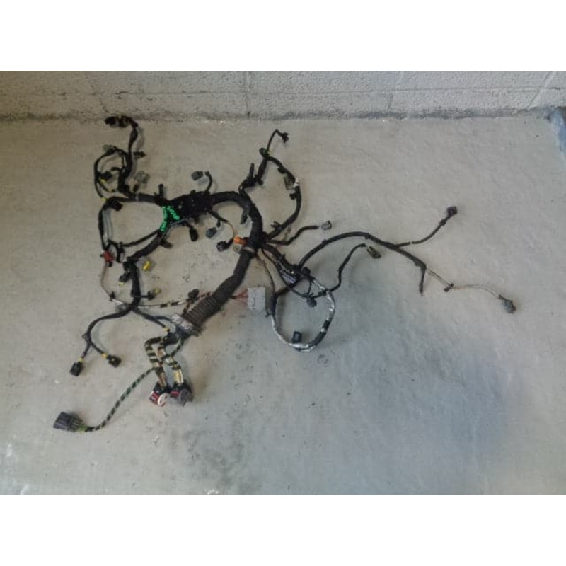 Range Rover L322 Engine Loom Complete TDV8 3.6 6H4Q 9H589 AG 2006 to 2010