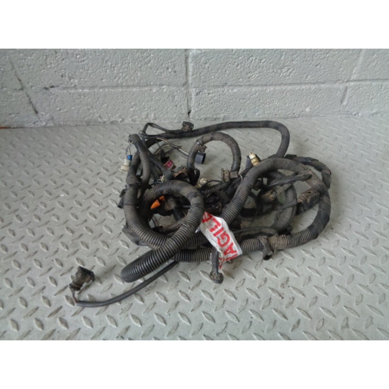 Discovery 2 Chassis Wiring Loom 2.5 TD5 Land Rover TD5 1998 to 2004