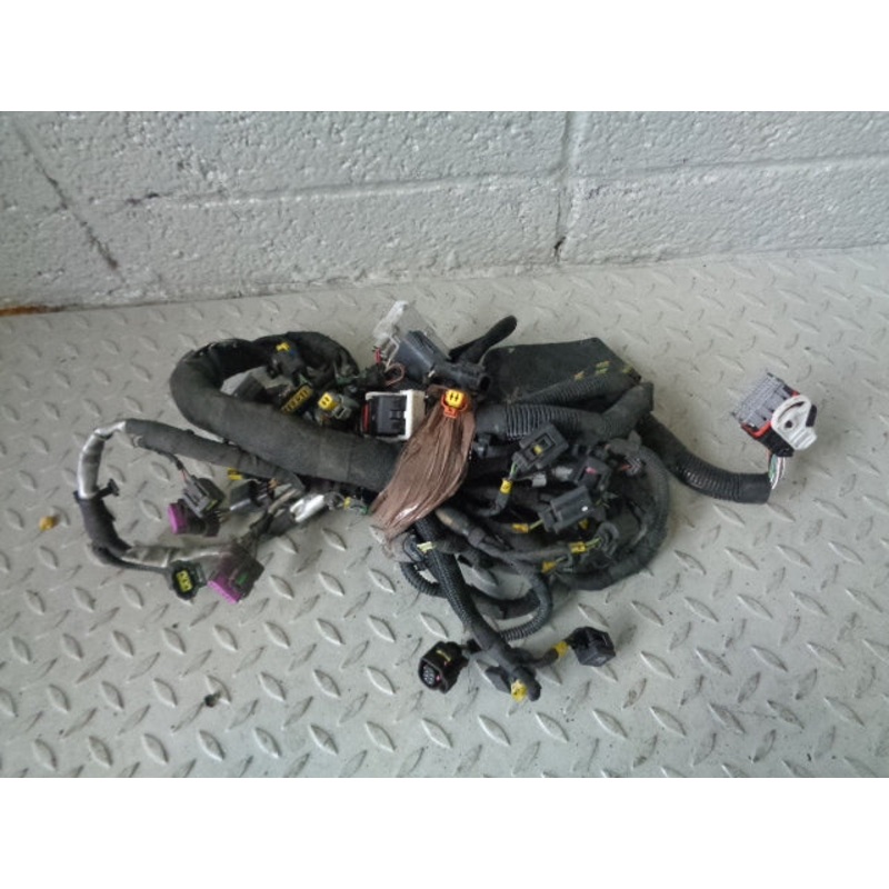 Range Rover Sport Engine Loom Complete TDV8 3.6 6H3Q-9H589 AH 2006 to 2010