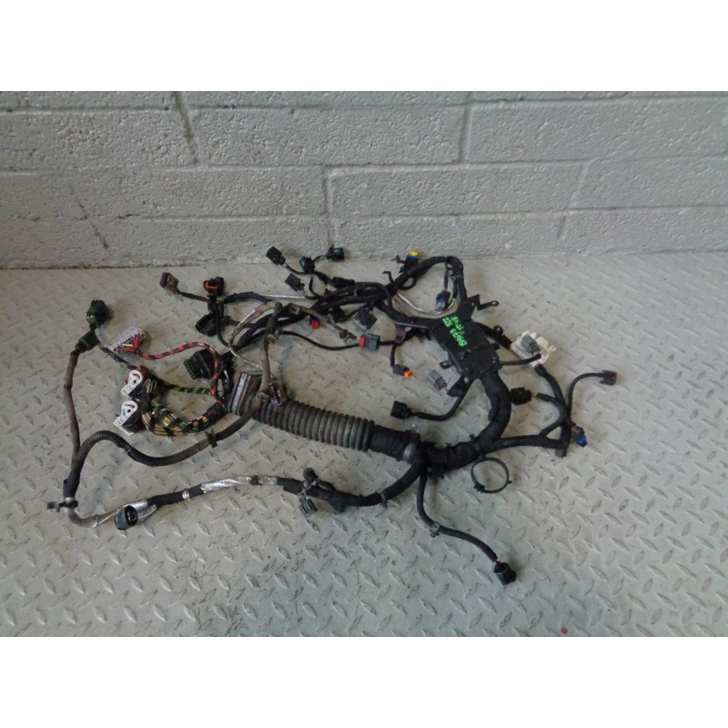 Range Rover L322 Engine Loom Complete TDV8 3.6 8H4Q-009H589 AD 2009 to 2013