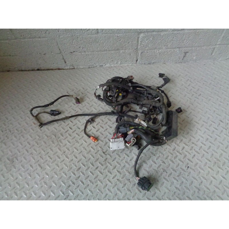 Range Rover Sport Engine Loom Complete TDV8 3.6 8H3Q 9H589 AB 2006 to 2010