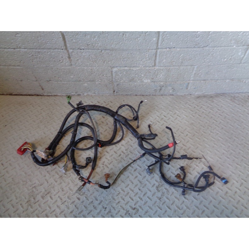 Discovery 2 TD5 Engine Wiring  15p YSB000831 Land Rover 2002 to 2004