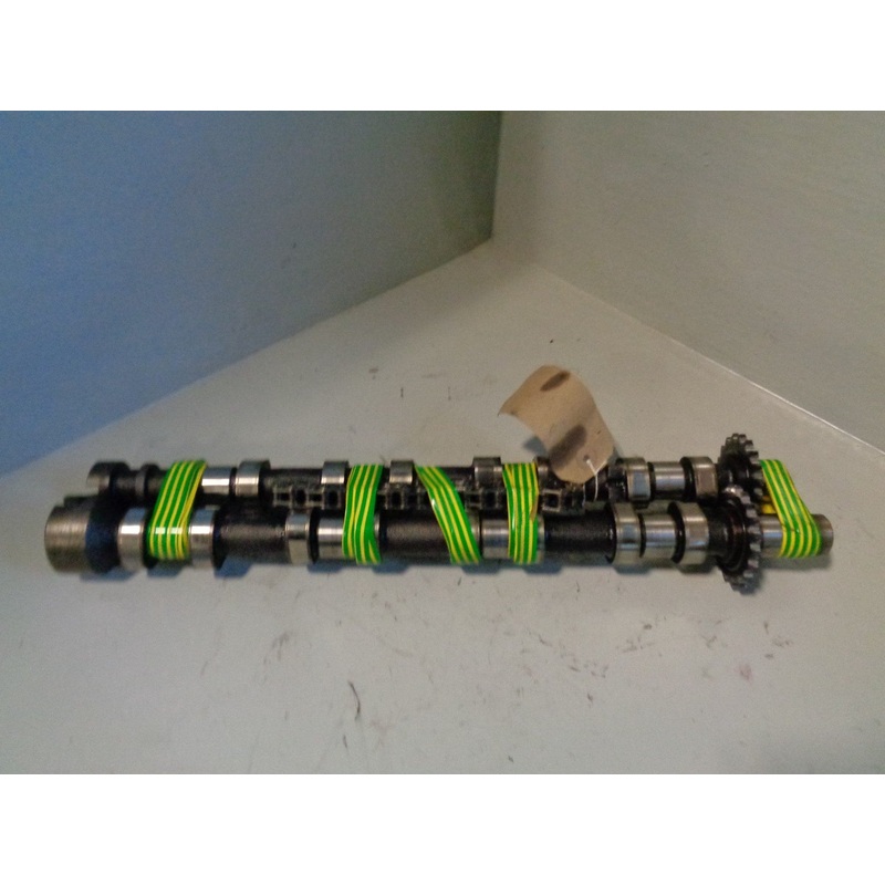 Freelander 2 Camshafts Pair Chain 2.2 TD4 224DT Diesel Land Rover 2006 to 2011