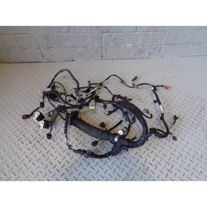 Range Rover L322 Engine Loom Complete TDV8 3.6 8H4Q-9H589-AA 2006 to 2010