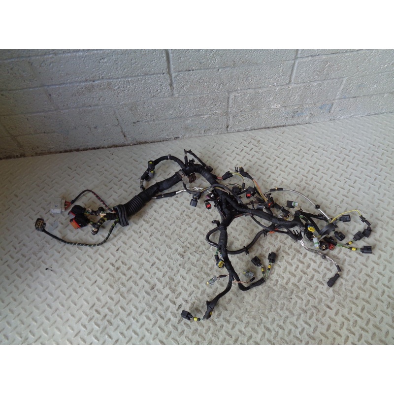 Range Rover L322 Engine Loom Complete TDV8 3.6 2006 to 2009 R21024