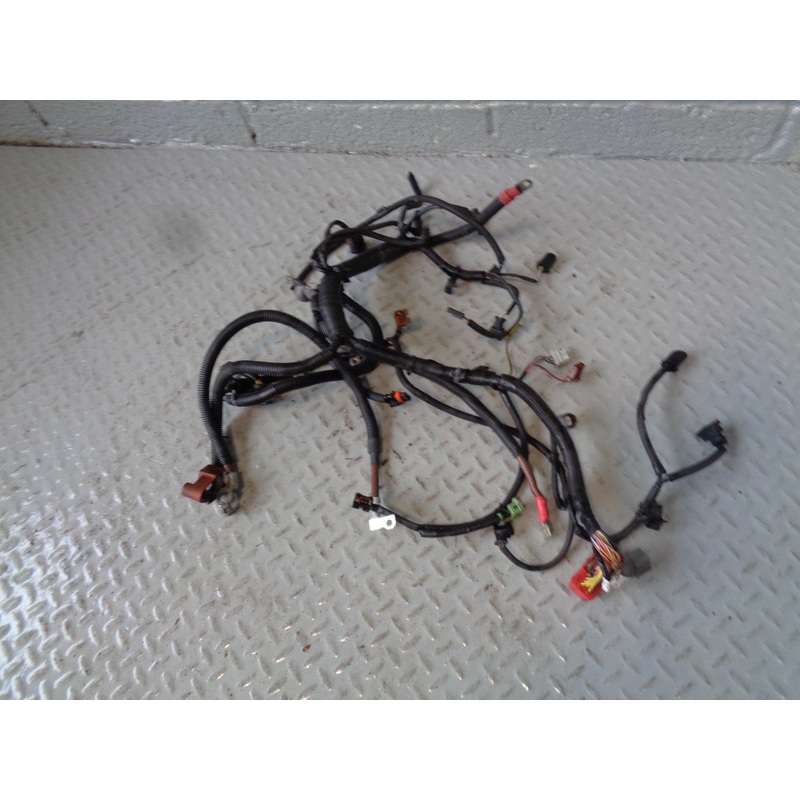Discovery 2 TD5 Engine Wiring Loom 10p 1H2Z-12A22-AA Land Rover 1998 to 2002