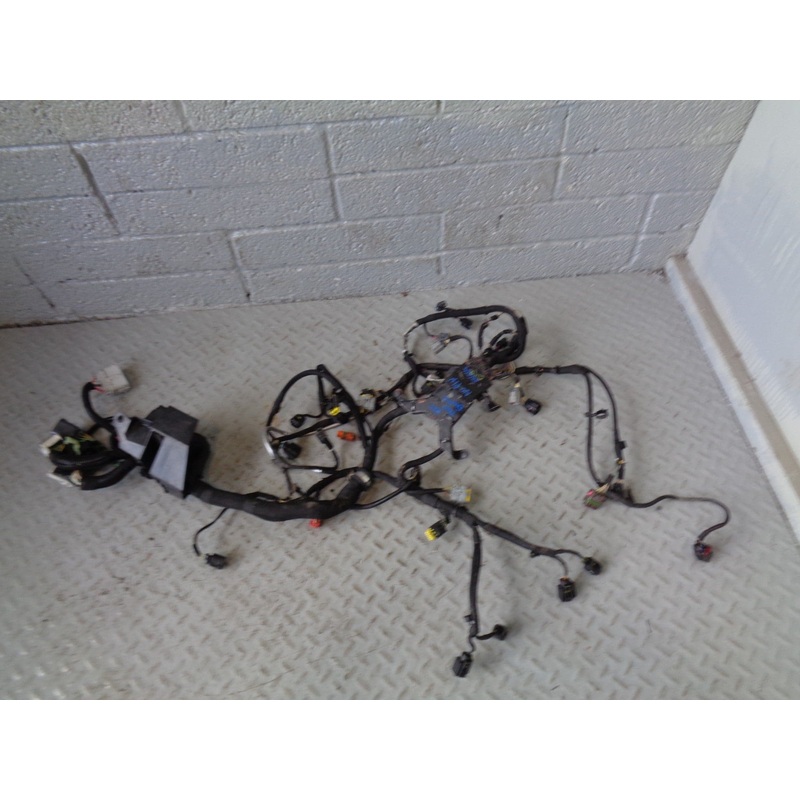 Range Rover Sport Engine Loom Complete TDV8 3.6 L320 2006 to 2009 R06064