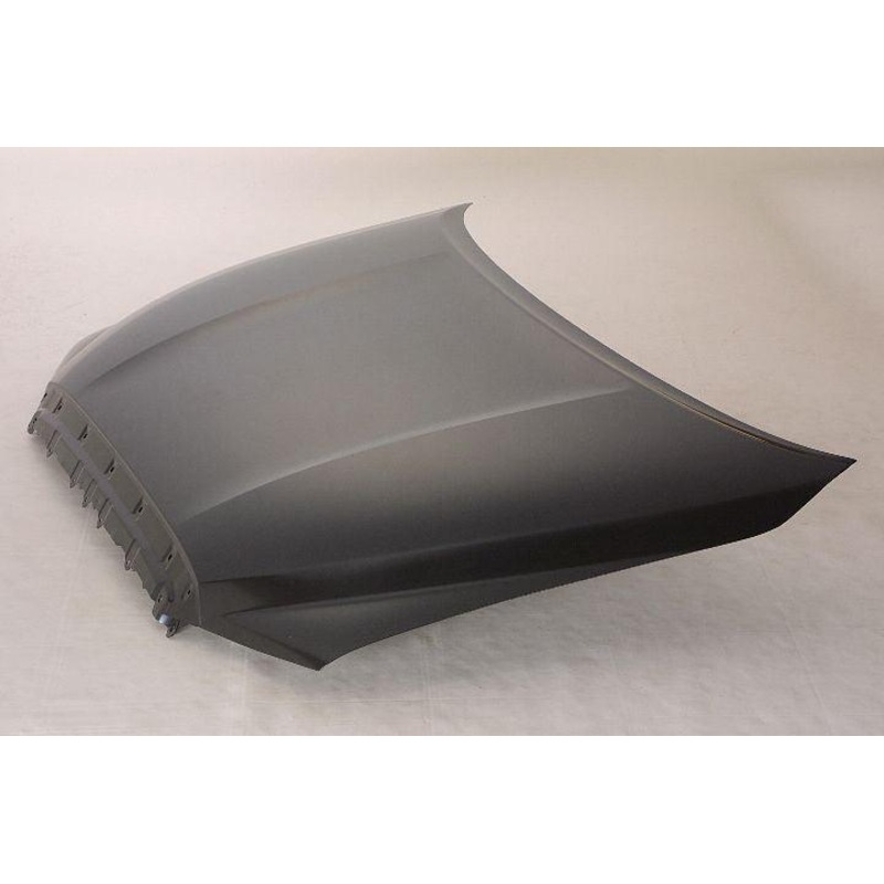 2008-2020 Toyota Sequoia Hood , To1230209