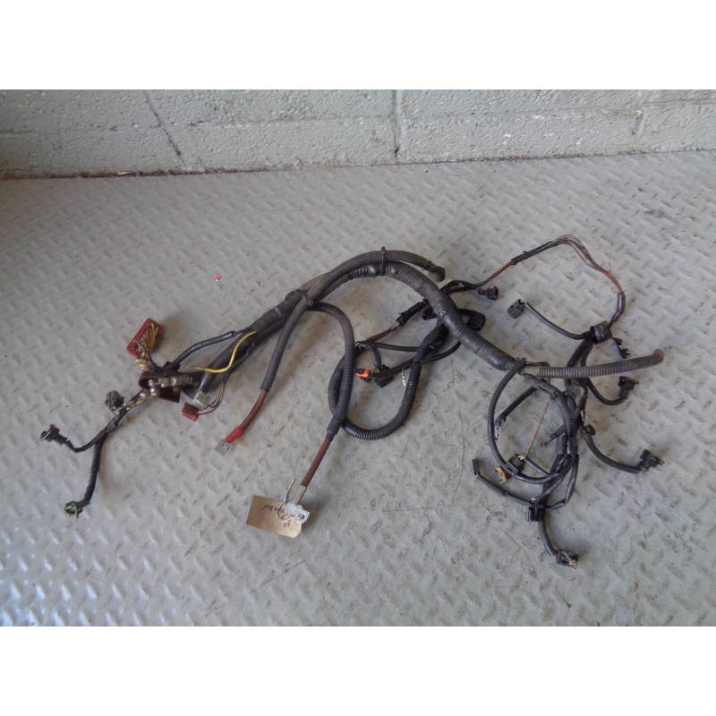 Discovery 2 TD5 Engine Wiring 15p or 16p Land Rover 2002 to 2004 L190724