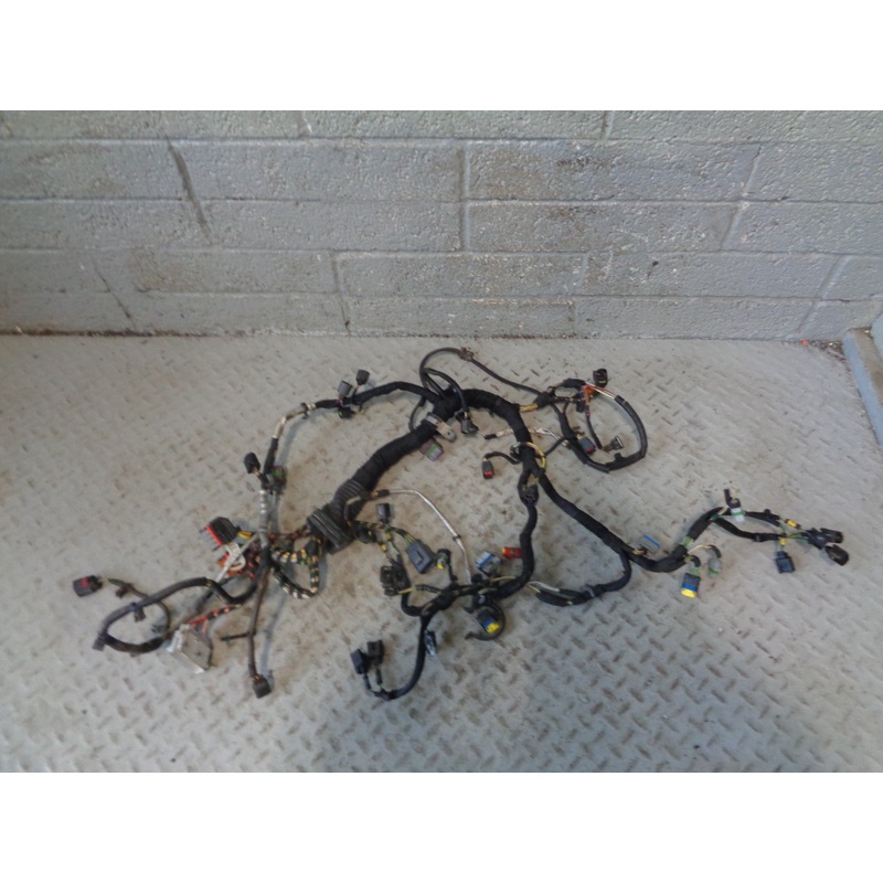 Range Rover L322 Engine Loom Complete TDV8 3.6 2006 to 2009 R30015