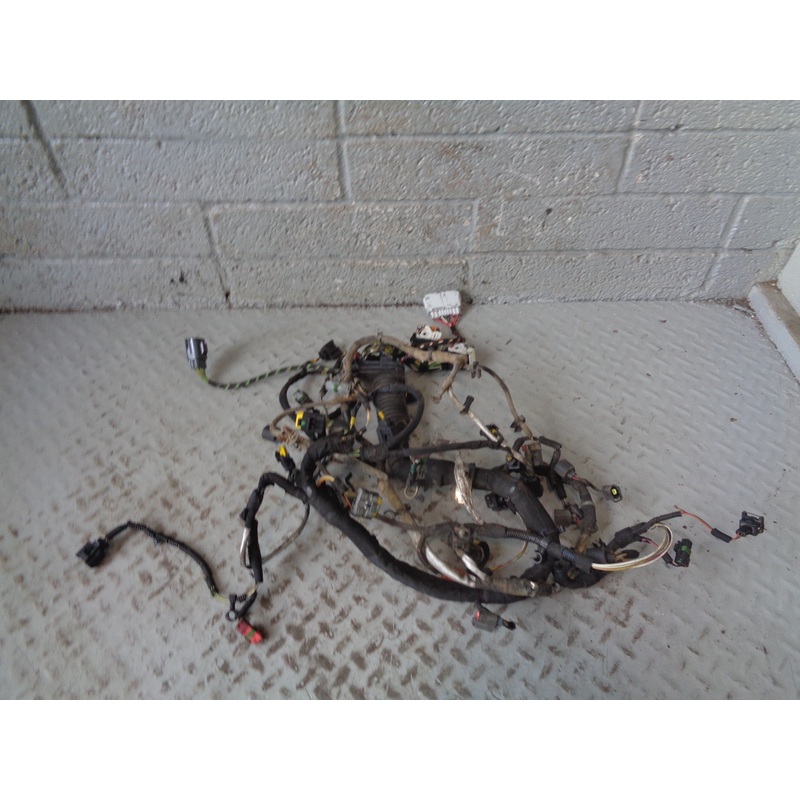 Range Rover L322 Engine Loom Complete TDV8 3.6 2006 to 2009 R24025