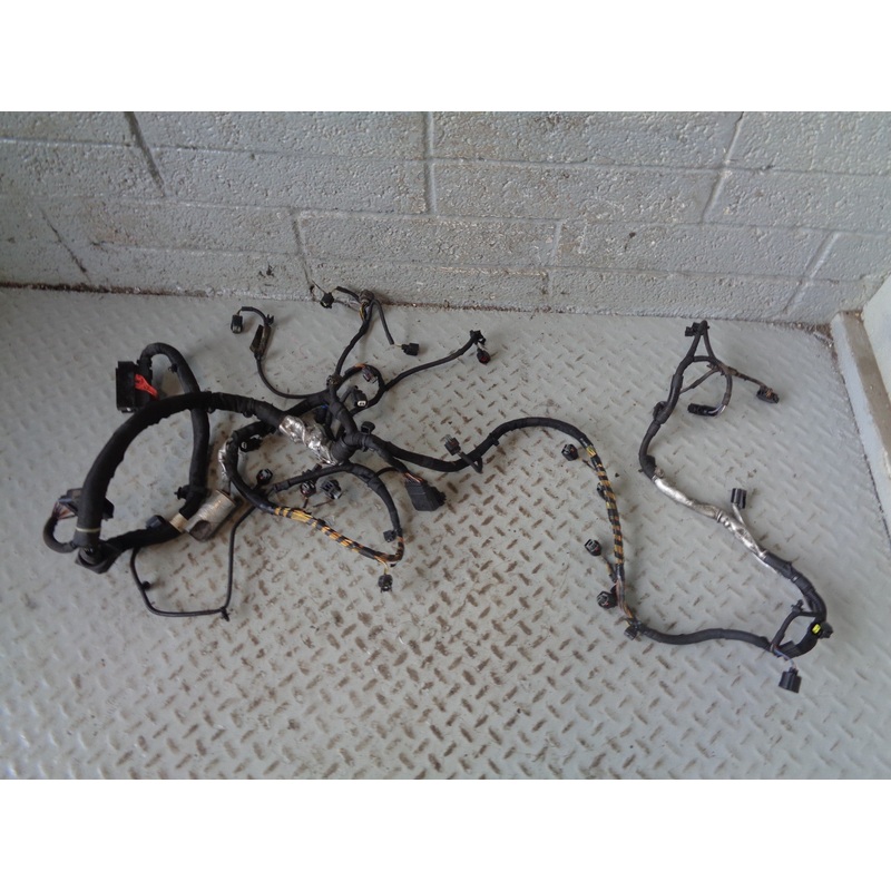 Range Rover L322 Engine Loom Complete TDV8 4.4 6H4Q AH4Q-9H589-AF 2010 to 2013